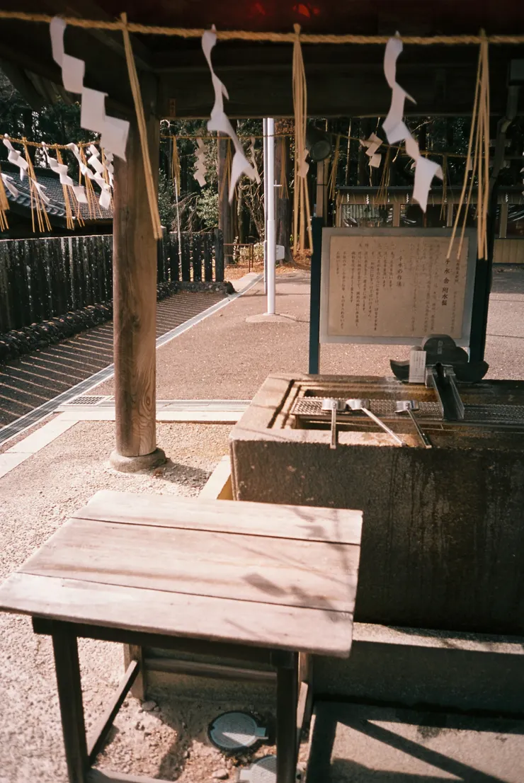 Nikon AF600 - RETO Maple100