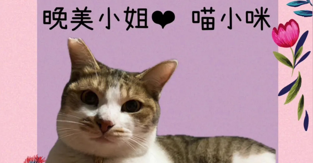 晚美生活先修班-舒心好生活的沙龍