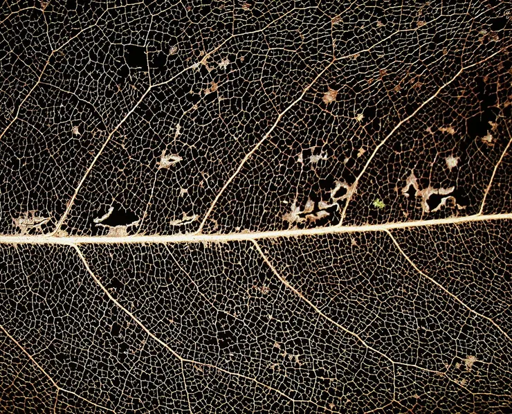 由 I, Brocken Inaglory, CC BY-SA 3.0