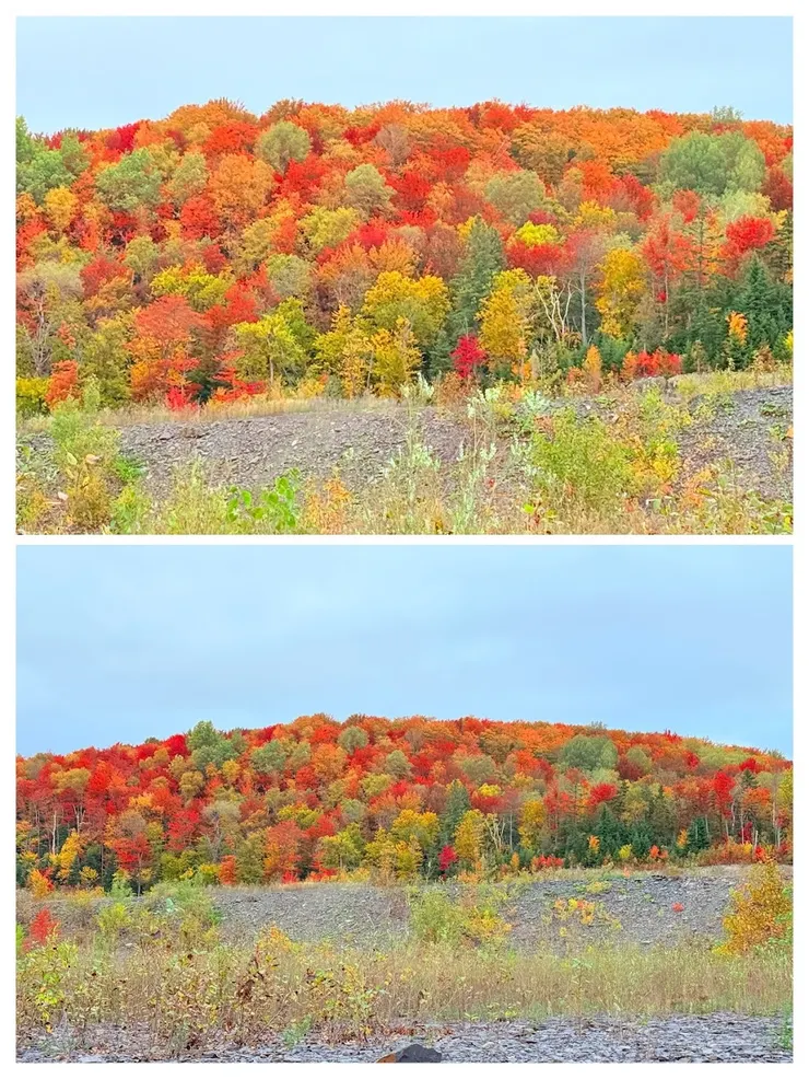 為了躲開電線要再走一點路