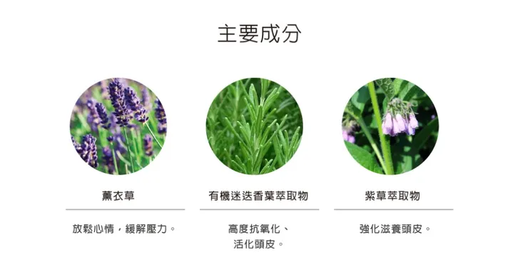 圖源：安垛官網