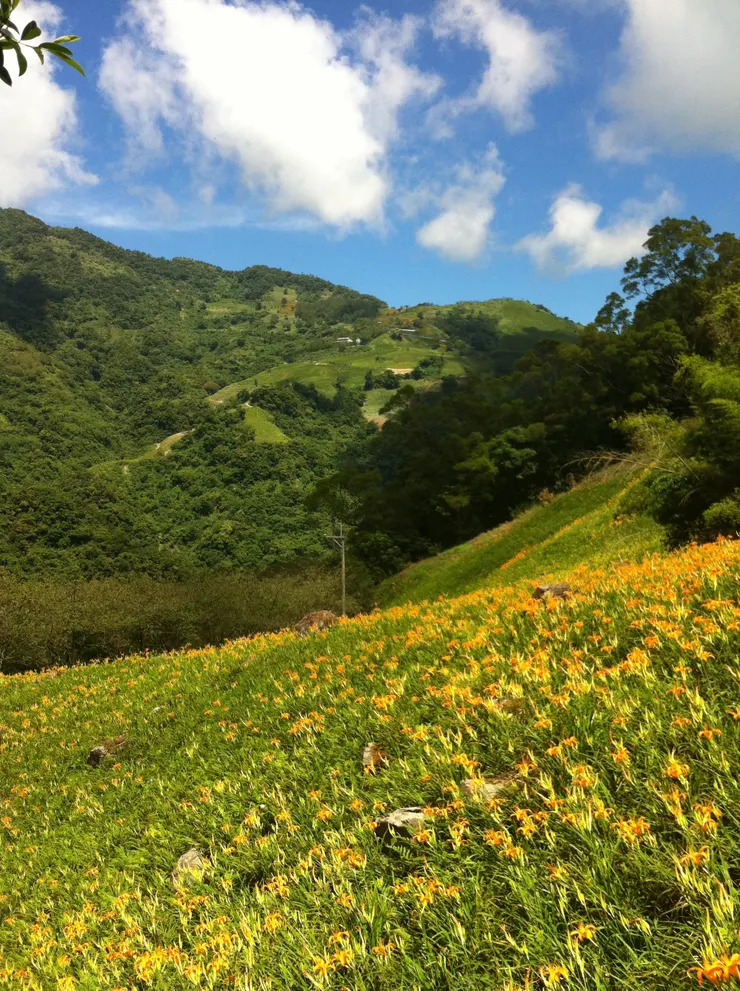 彷彿置身在仙境