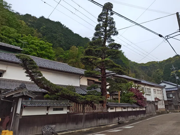 清晨的伊根老街道