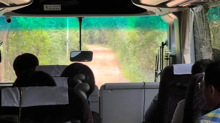 車子從柏油路轉進狹窄紅土路， 兩旁還是很原始的叢林原野。