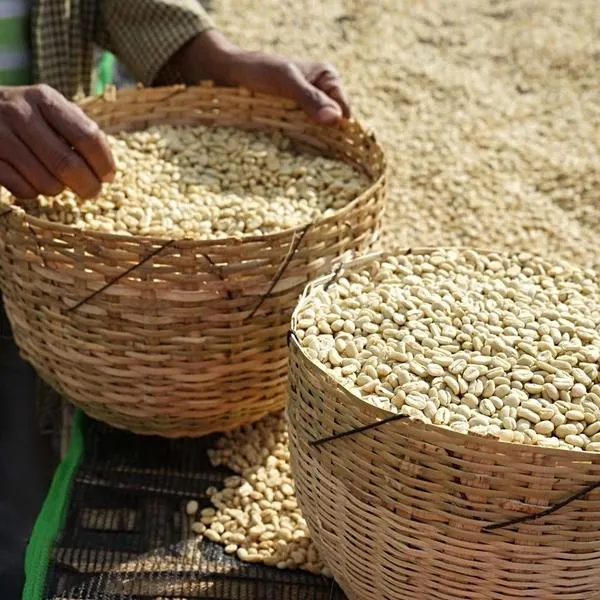 這款耶加雪菲咖啡，從聞香開始就能感受到細緻綿長的柑橘和黃檸檬香氣