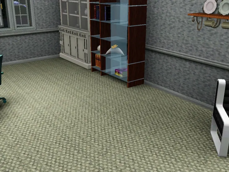 就是麥可常看的書籍雜誌和裝飾品。