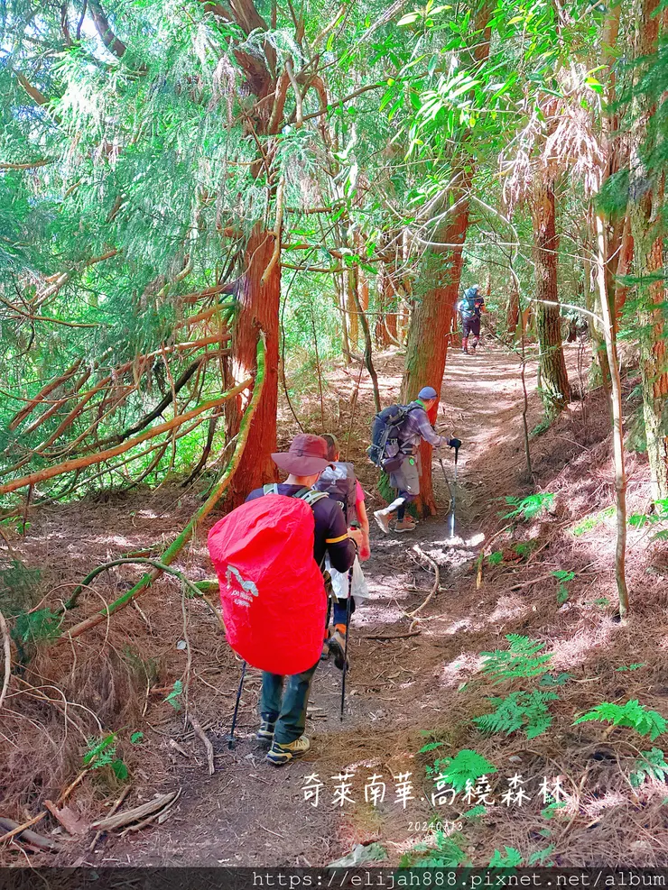 【2024夏。高繞上奇萊南華2天1夜】雲天宮出發高繞路線4.