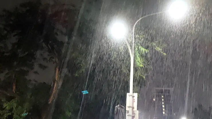 今晚的大雨滂沱，讓人有所感觸。 從1999年中共迫害法輪功信仰群眾開始，漫漫長夜已經26年，中國大陸法輪功學員在期間，體會流離失所的無助、連坐制度帶來的人情冷暖、勞教酷刑施加的恐懼痛苦。