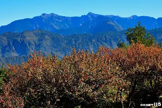 紅葉與玉山連峰