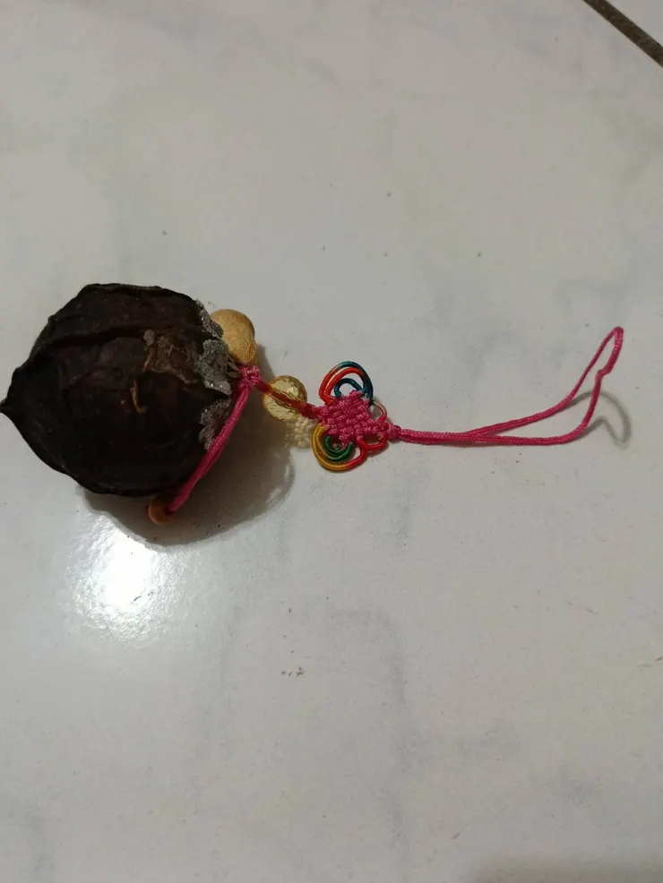 油桐種子綁成種子串裝飾品