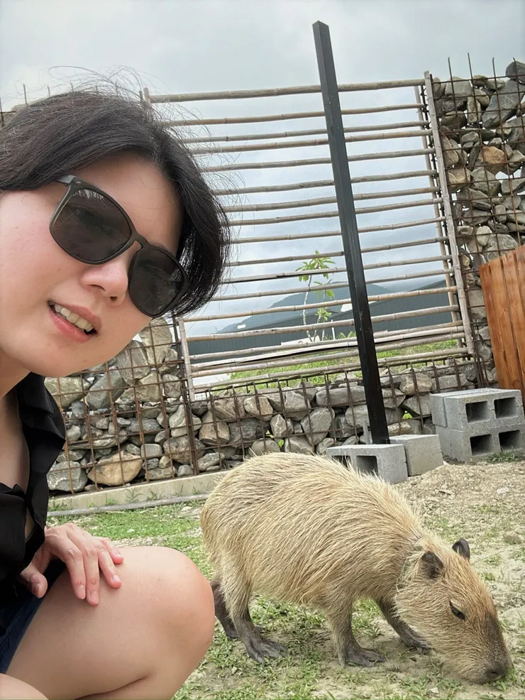 ⟨他的毛跟樹懶有點像⟩