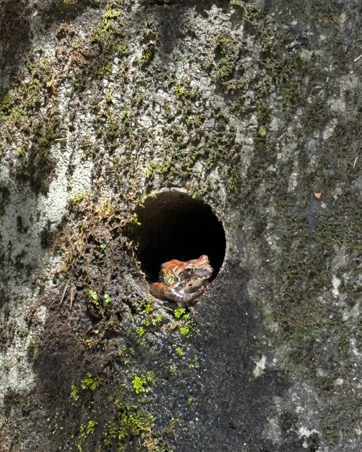 拍攝於2025年8月17日，石碇 老街