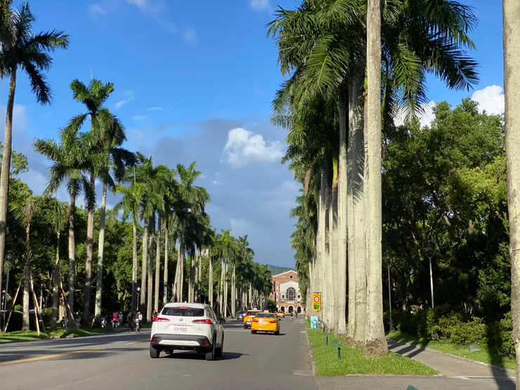 椰林大道。主要教學研究區的配置，是配合前臺北高農既存校舍，規劃為一東西方向的軸線，貫串校園核心的大道，這條大道長約三百公尺，寬約七十公尺