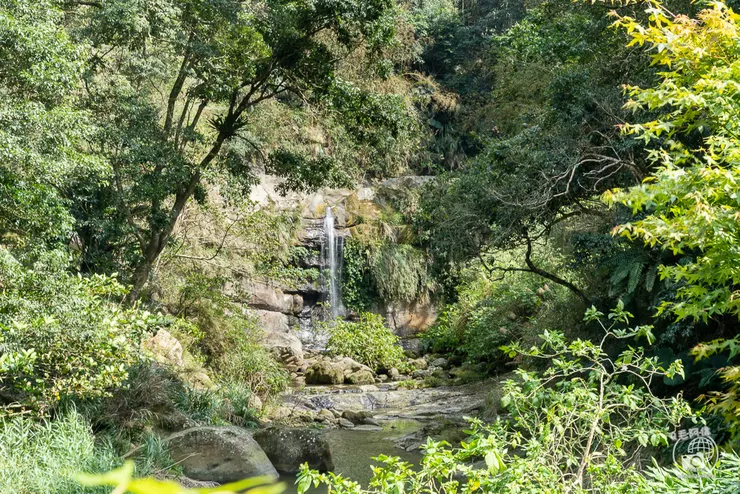 圓潭自然生態園區,圓潭生態園區,圓潭,嘉義景點,梅山景點,瑞里景點,嘉義,登山步道,戶外休閒,嘉義IG打卡