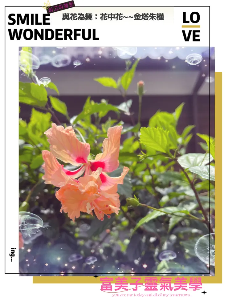 金塔朱瑾🥰🥰🥰-富美子靈氣美學