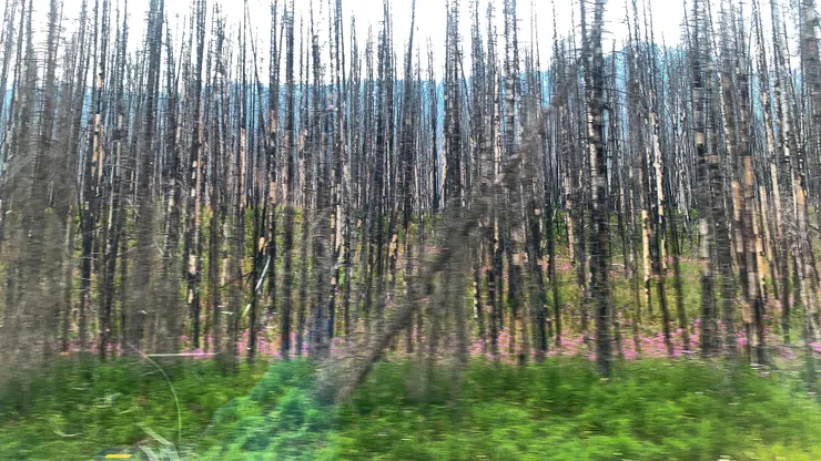 加拿大公路旅行 - 五天四夜班夫行程分享 （下集）