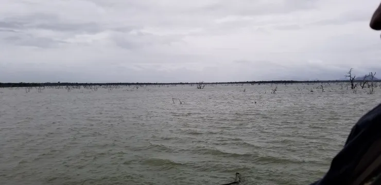 雨水太多，湖面也上漲了