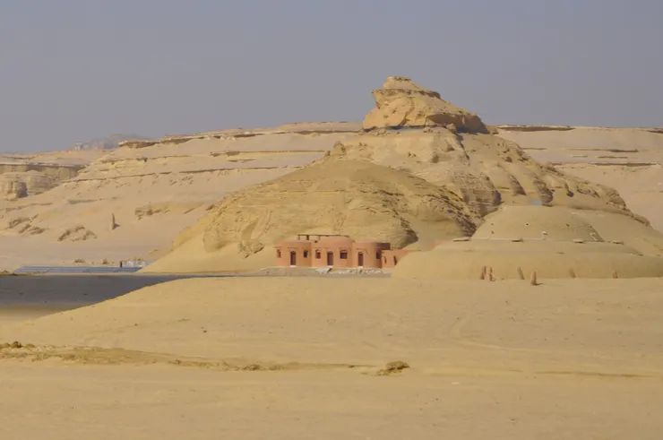 遠觀鯨魚谷博物館