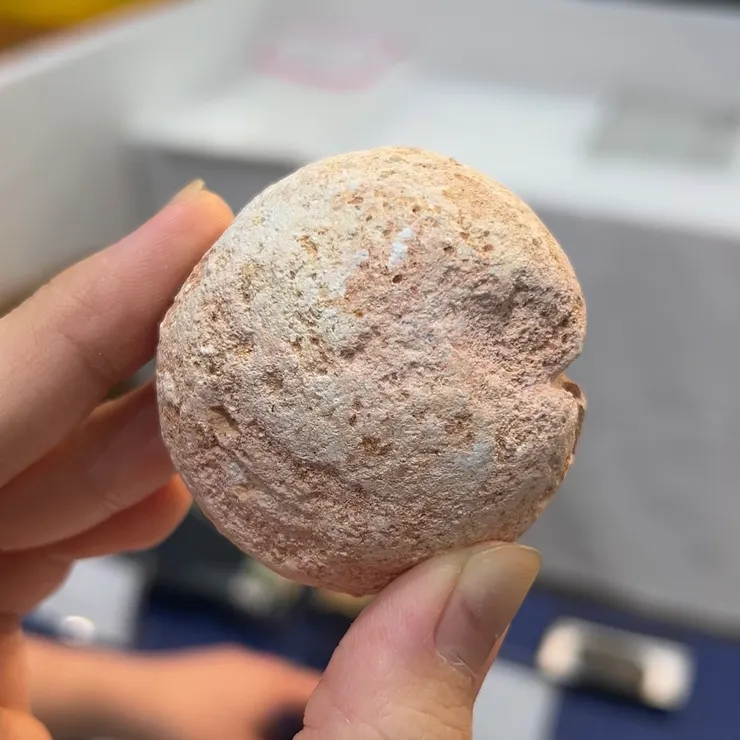 可愛又粉嫩的圓形球體，網路上的資料並不多，翻譯是：和樂石