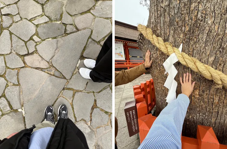 來宇佐神宮必做的兩件事:情侶、夫妻牽手腳踩上面就會得到幸福,而單身的人則是;摸神宮旁大樹許願可以願望實現