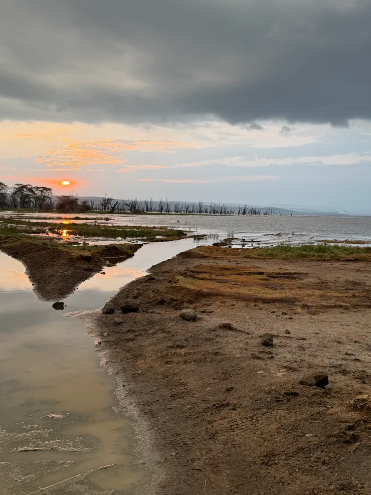 美美的落日及Lake Nakuru