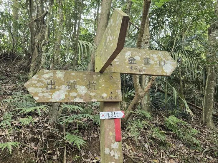 ▲叉路口，右下往法雲寺，右後往玉女山，先取直行往汶水山、金童山，回程再走玉女山。