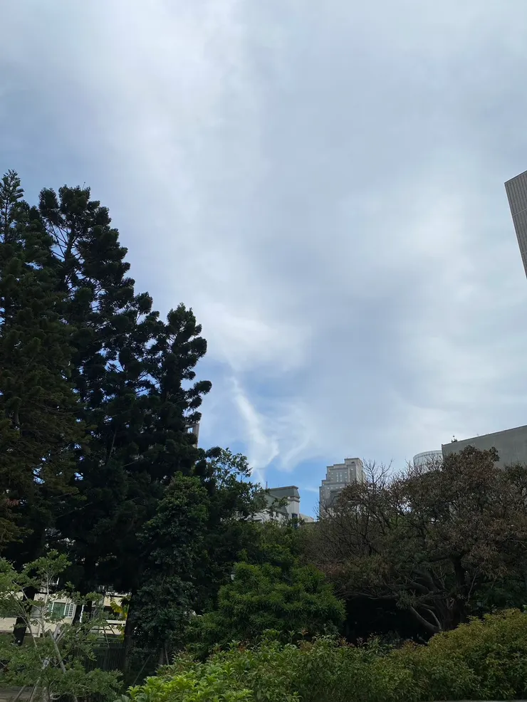 暮雲殘光的風霜