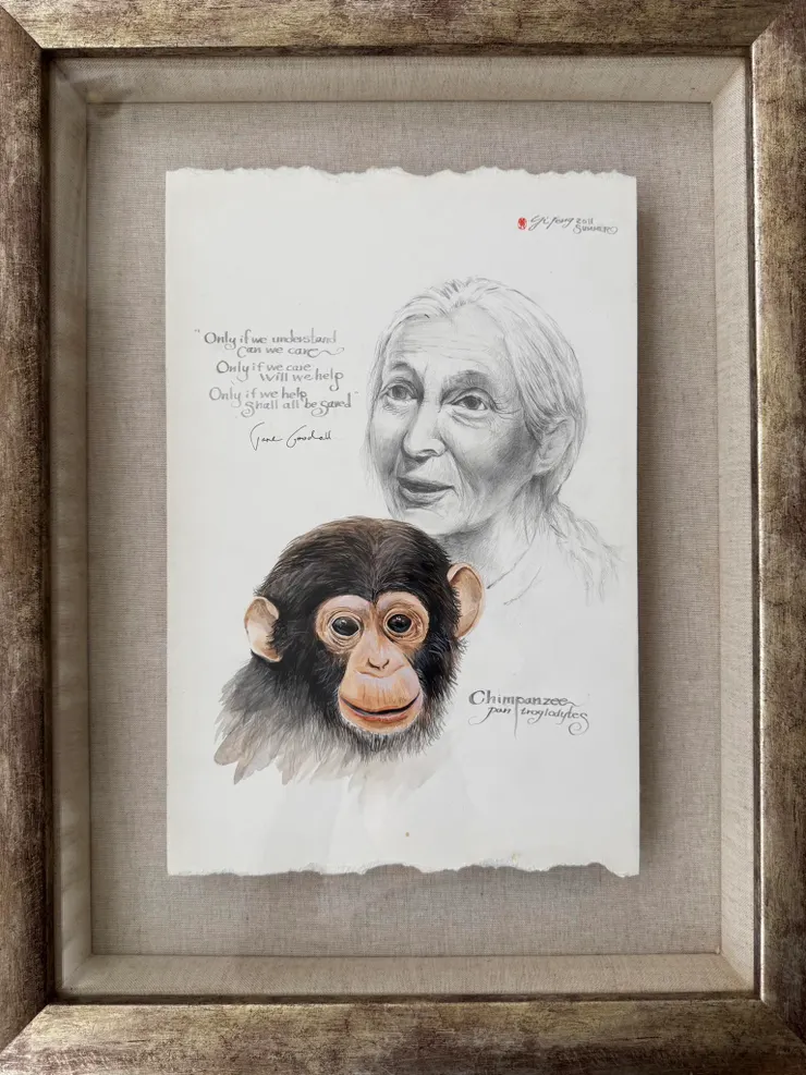 黃一峯 Huang Yi-Feng 老師2011年所繪的精彩作品，2012年給珍古德博士親筆簽名，13年轉瞬逝去。