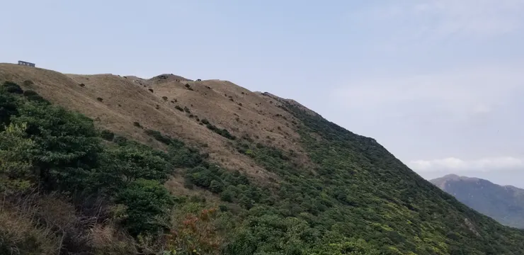 離開前最後一次回看大東山