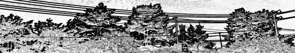 默默無名的沙龍