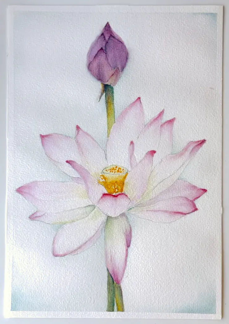 圖 YHCC@水彩練習 W40荷花 OCT2023, 26x18cm