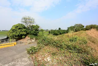 (9238)-上橋前的引道也都長滿植物了(往大林方向拍)