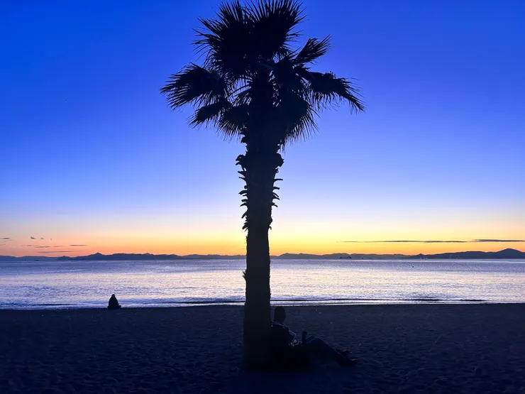 圖片來源:自己的Mac