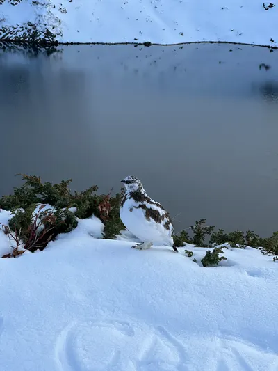 紀·錄｜2023.10.23 室堂