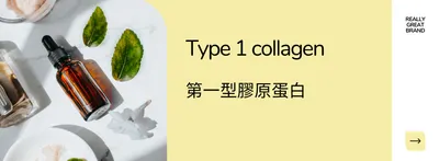 第一型膠原蛋白的沙龍