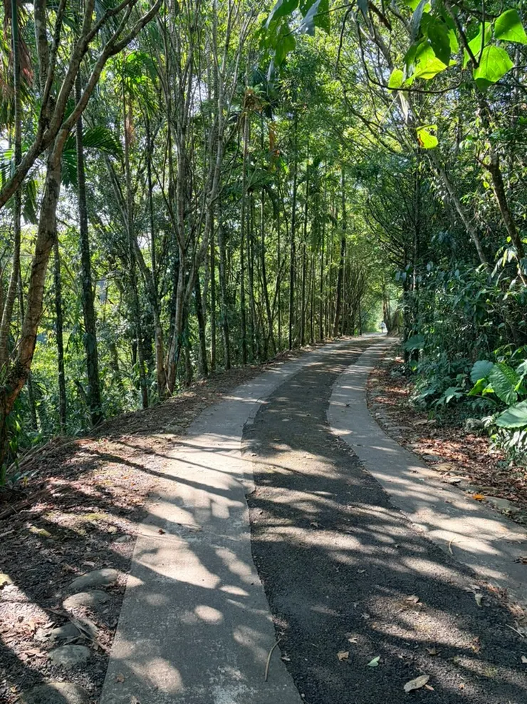 這世界沒有別人，做你真正想做的事情就好。