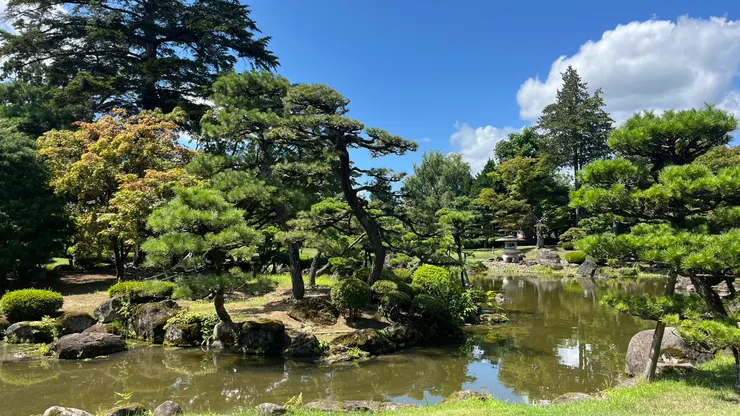 算是相當漂亮的庭園。