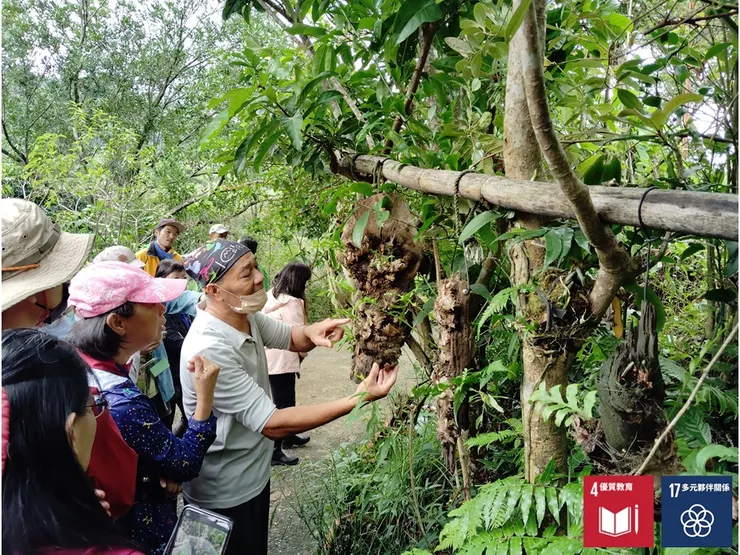 教室前掛滿一排德鴻用漂流木手作設計的小植栽,植栽與基材互搭得相當生機有緻
