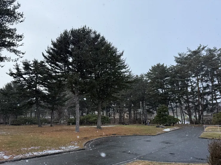 盛岡城跡公園（岩手公園）。下雪量有點大。