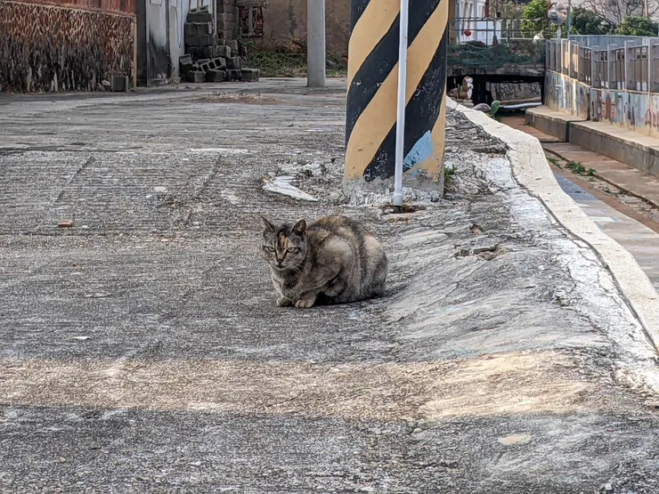 在 為什麼來金門 遇見的他