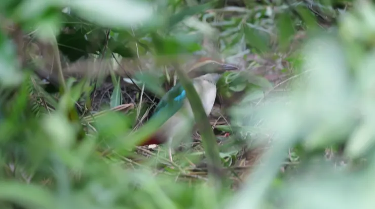 2025年在香港相遇了