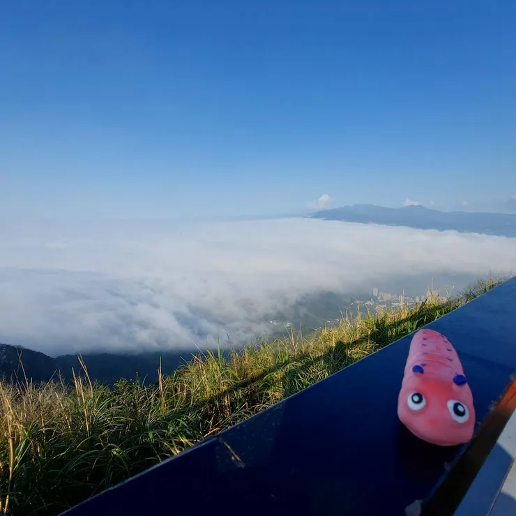 滾滾的雲海，也是一絕