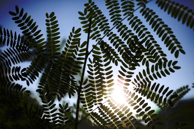 我們的眼睛，對那些具有韻律感的元素搭配（重複），會自然覺得好看。