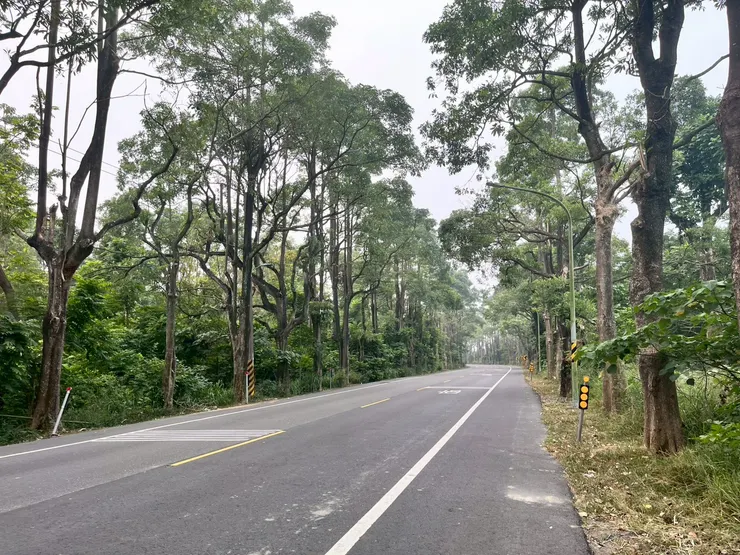 清晨的路上 - 往高雄中