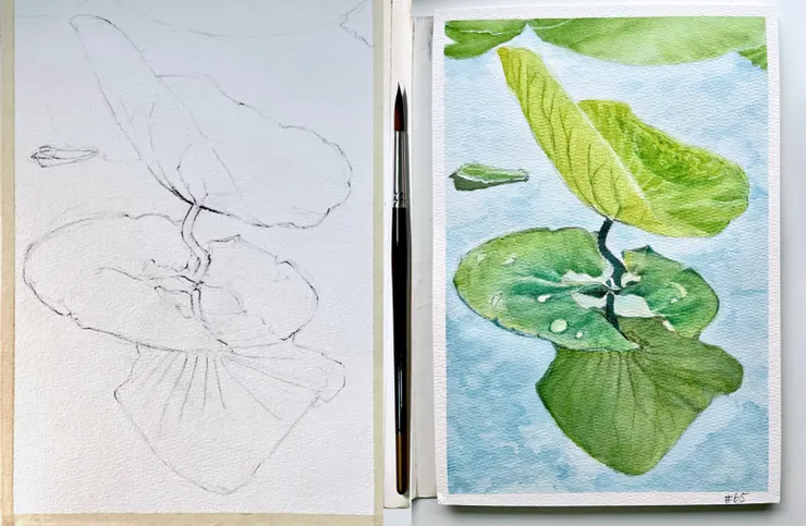 圖YHCC＠水彩練習 W65 荷葉倒影, 26x18cm, JUN2024