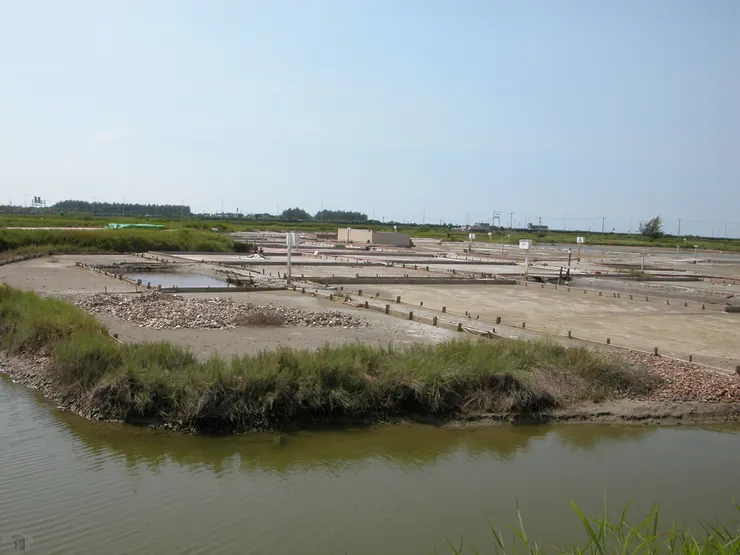 圖14 布袋洲南鹽場 資料來源：蔡昇璋提供