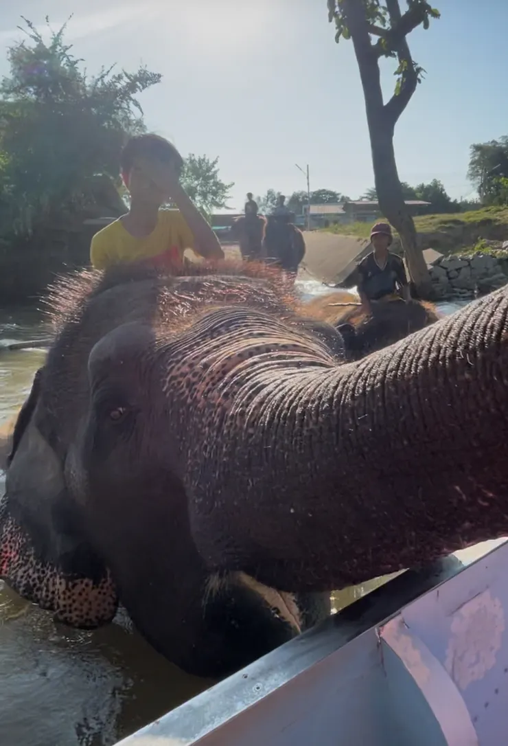 我看過行程表，但是體驗當下才知道這有多興奮