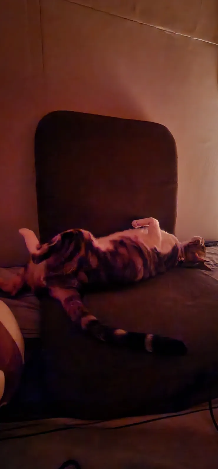 你是不是拯救了八百個小宇宙