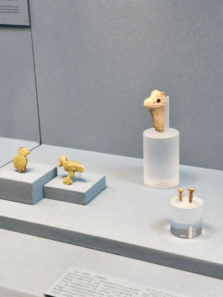 這是...應該是馬