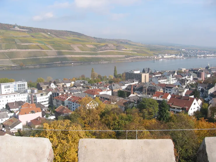 塔頂遠眺賓根市及萊茵河